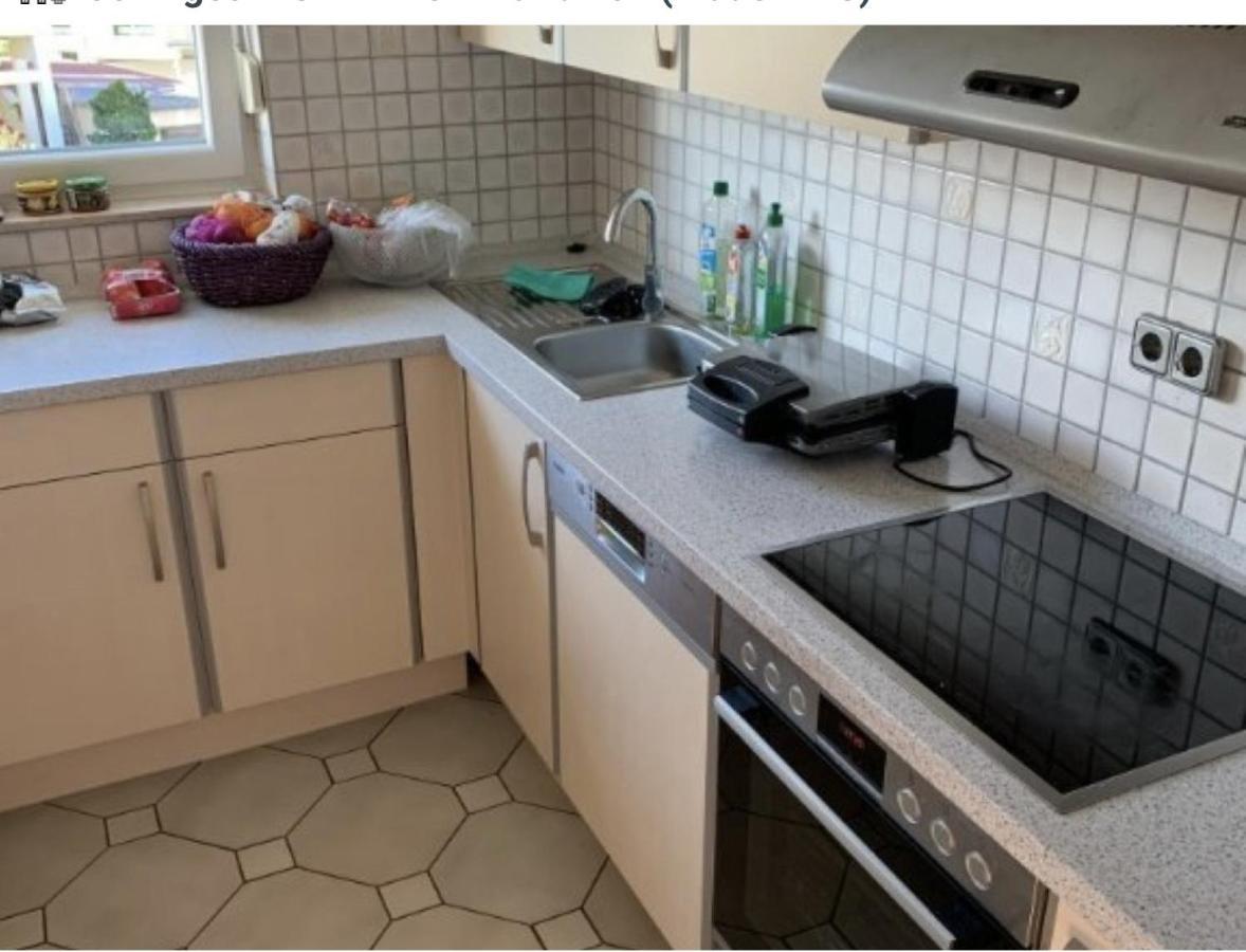 Sonnige 3 Zimmer Wohnung Mit Schoenem Balkon Im Gruenen Ρόιτλινγκεν Εξωτερικό φωτογραφία