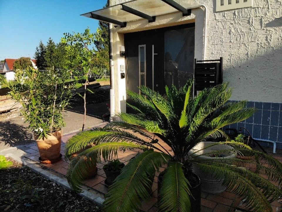 Sonnige 3 Zimmer Wohnung Mit Schoenem Balkon Im Gruenen Ρόιτλινγκεν Εξωτερικό φωτογραφία